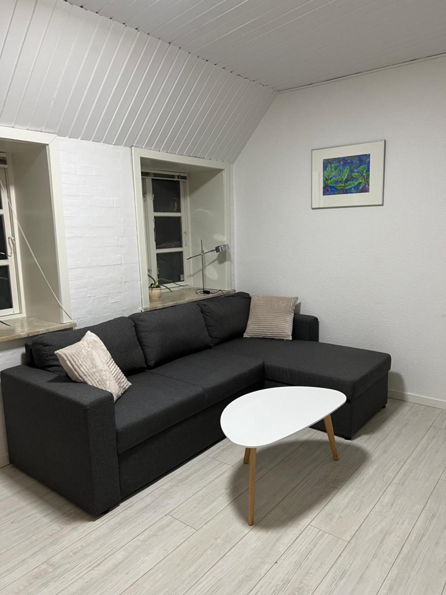 Apartment With Wifi, Close To City Center, Beach And Forrest Åbenrå Eksteriør billede