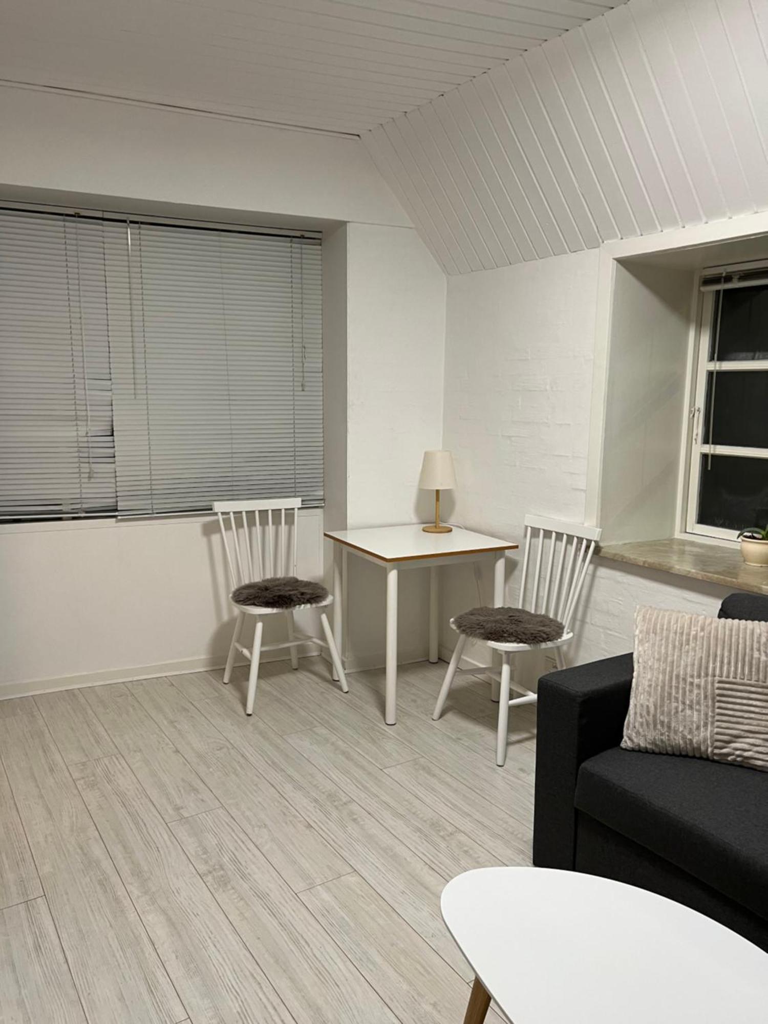 Apartment With Wifi, Close To City Center, Beach And Forrest Åbenrå Eksteriør billede